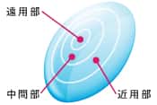 同時視タイプ（主にソフトレンズ）イメージ