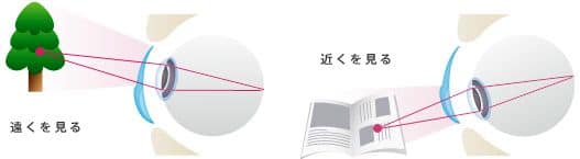 交替視タイプ（主にハードレンズ）のイメージ