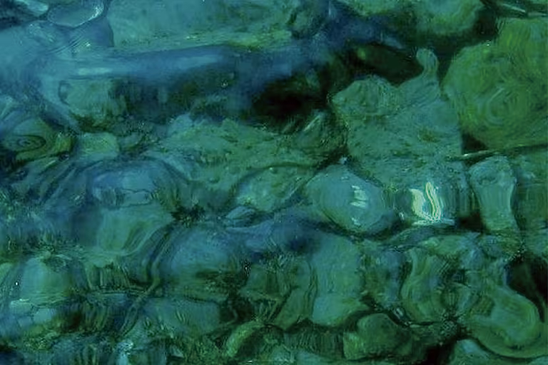 強い日差しの下での乱反射する光の低減