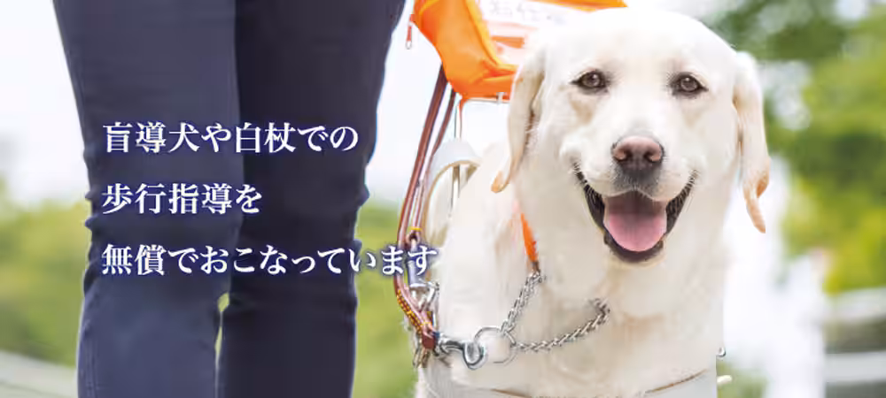 盲導犬や白杖での歩行指導を無償で行っています