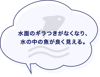 水面のギラつきがなくなり、水の中の魚が良く見える。