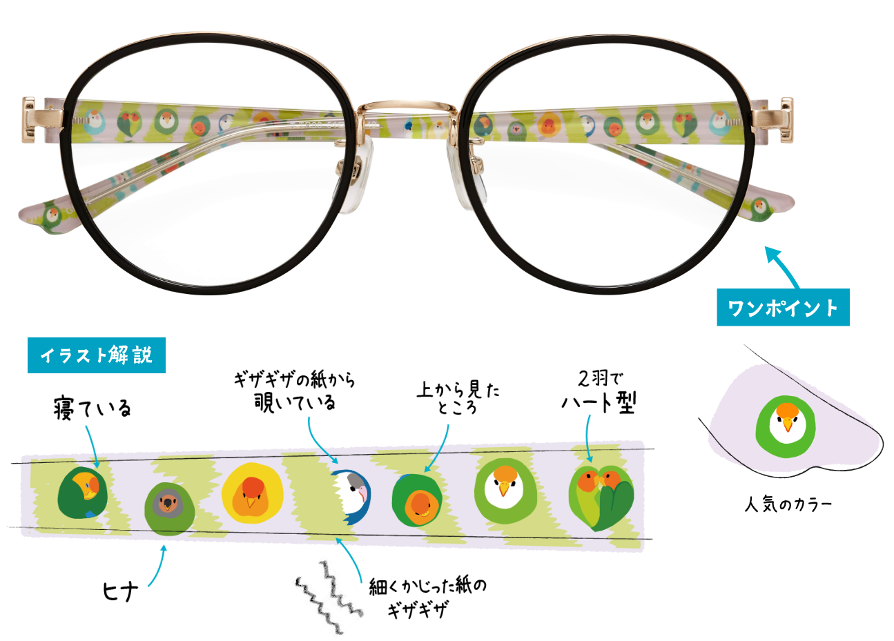 コザクラインコ