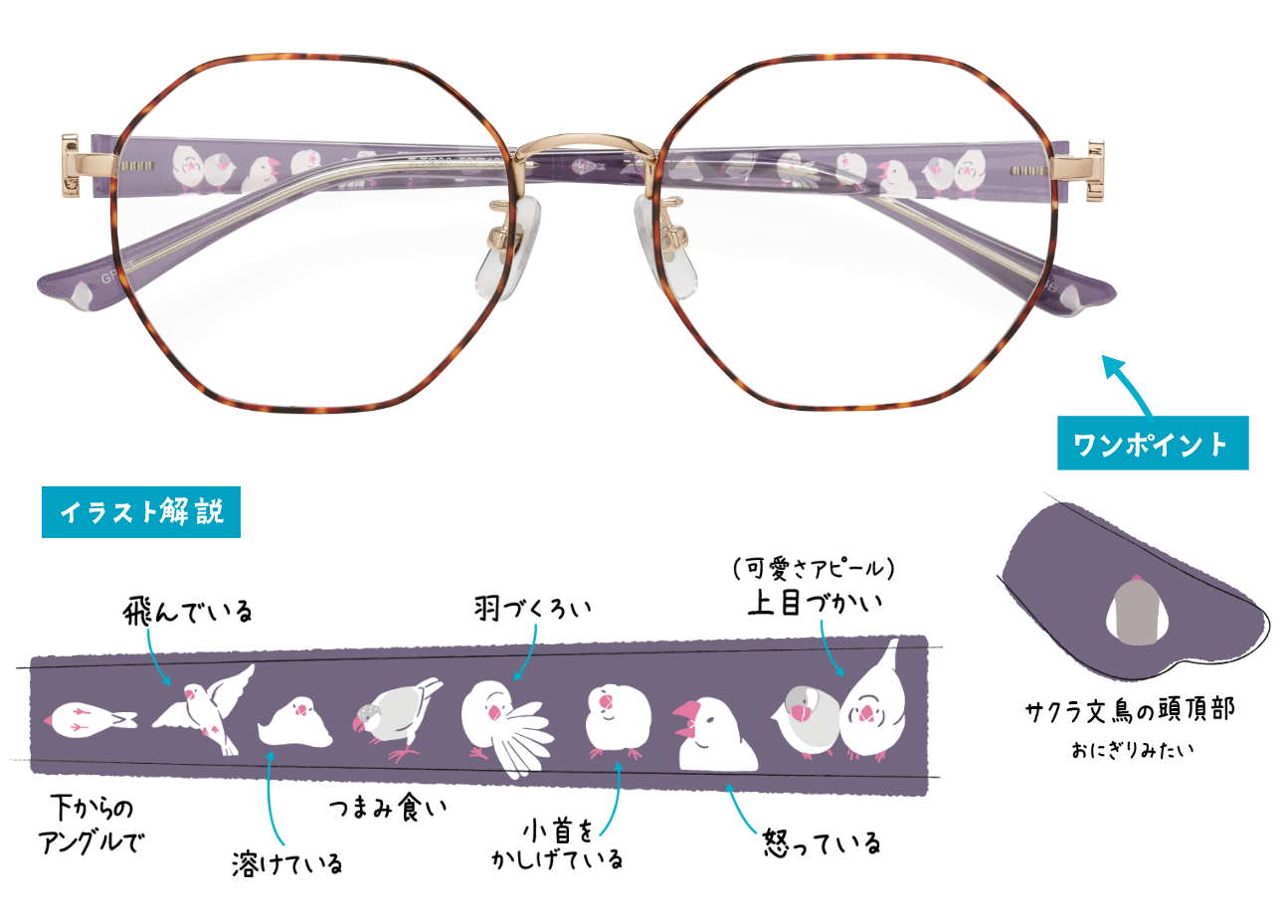 文鳥、サクラ文鳥