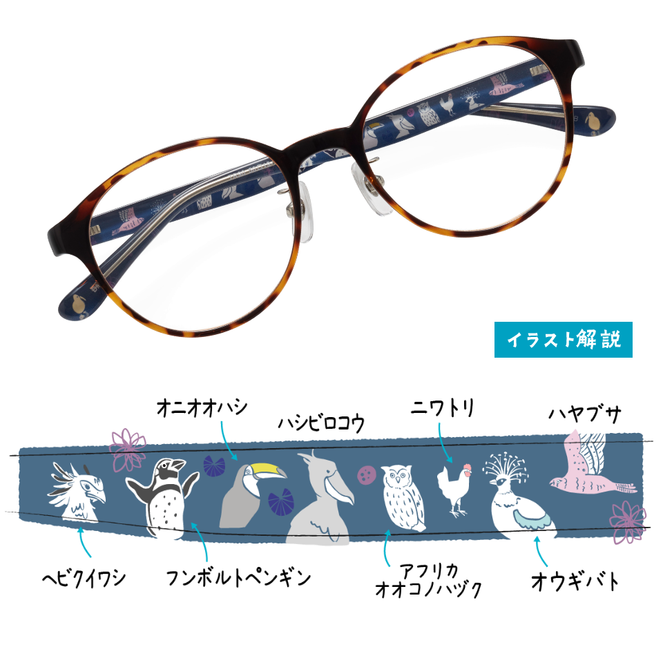 ハヤブサ、オウギバト、ニワトリ、アフリカオオコノハヅク、ハシビロコウ、オニオオハシ、フンボルトペンギン、ヘビクイワシ