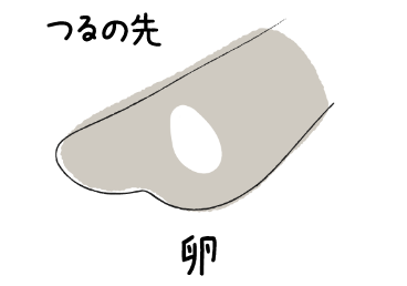 つるの先にキンカチョウの卵のワンポイント