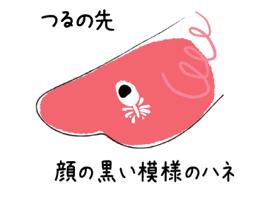 つるの先に、セキセイインコの顔の黒い模様のハネのワンポイント