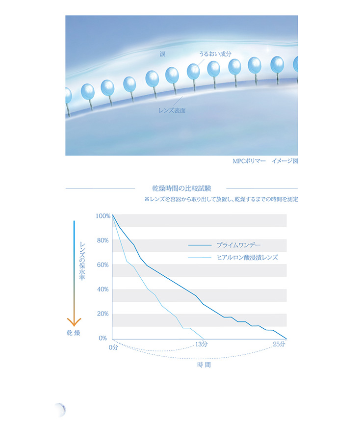 プライムワンデー30枚
