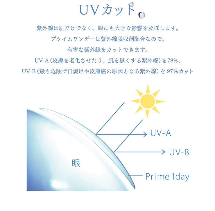 プライムワンデー30枚