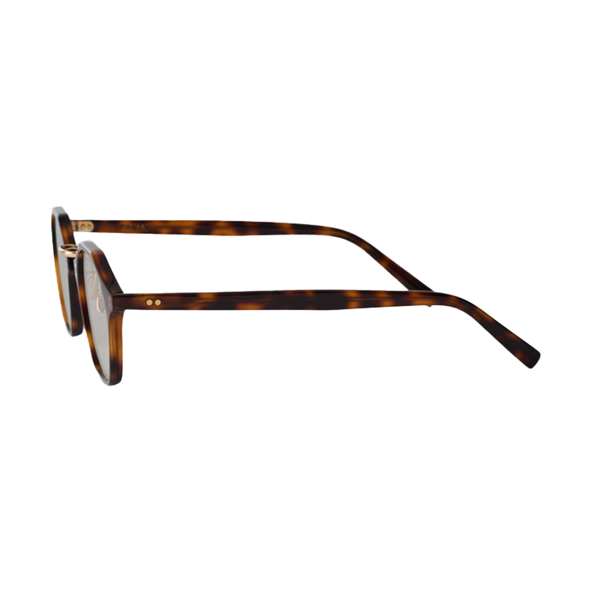 ハバナブラウン 47