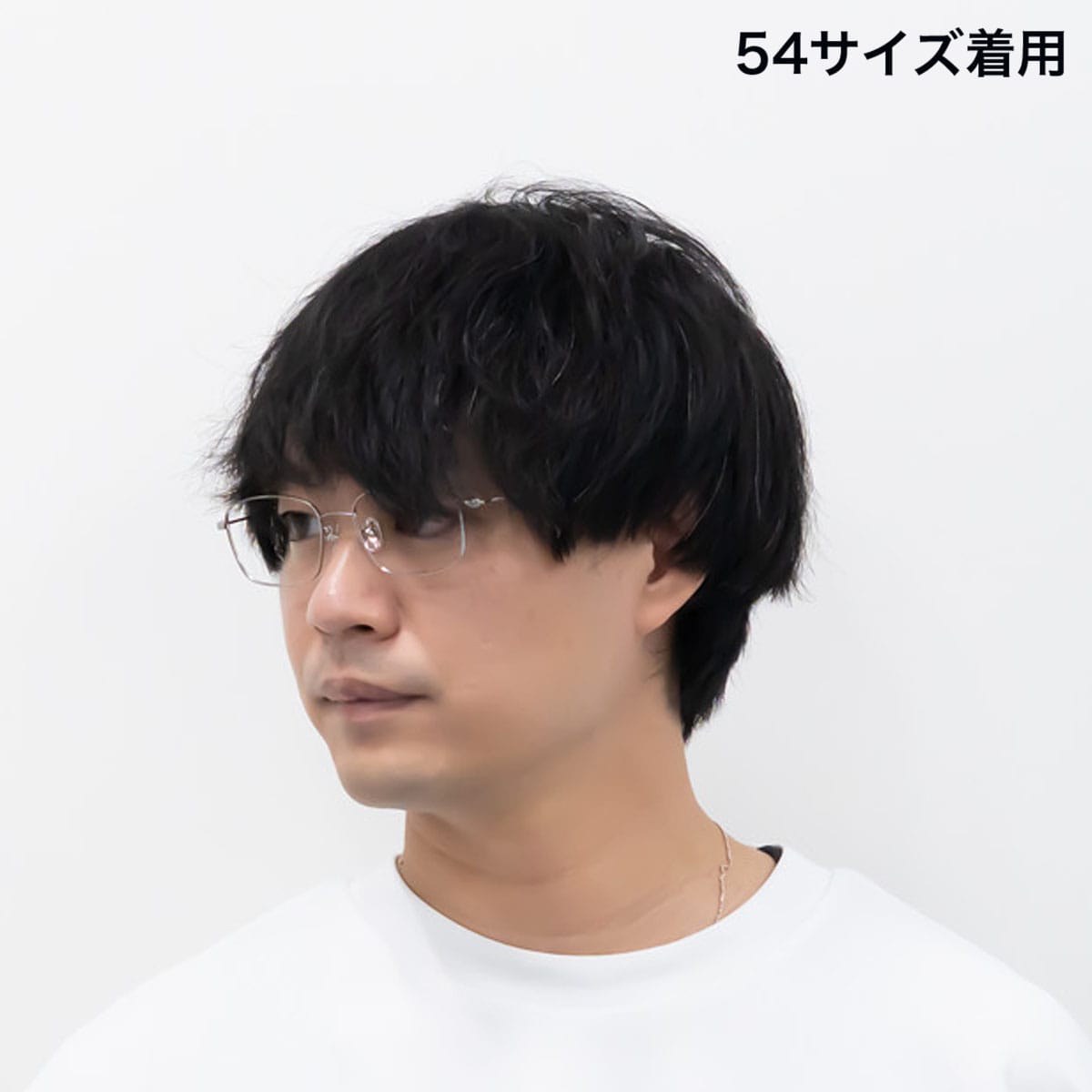 ホワイトシルバー 52