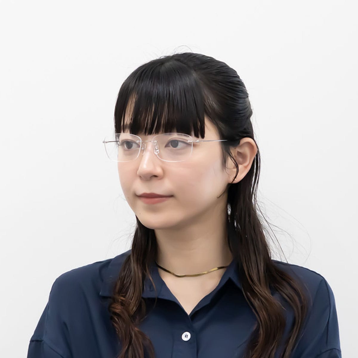ホワイトシルバー 54