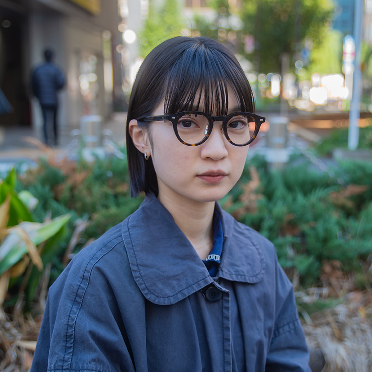 ダークトートイス