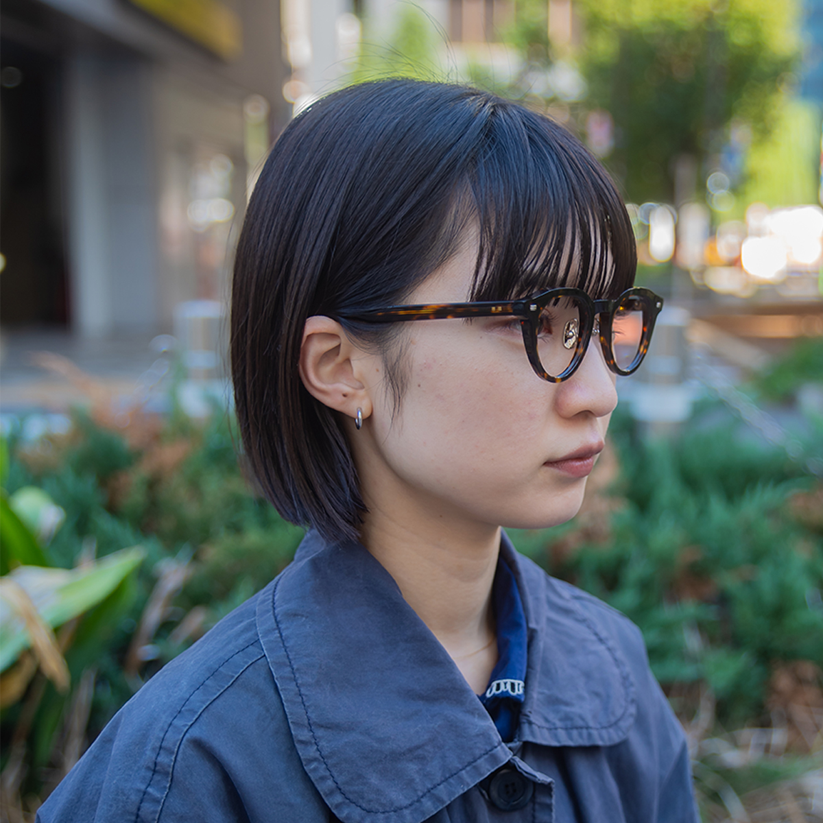 ダークトートイス