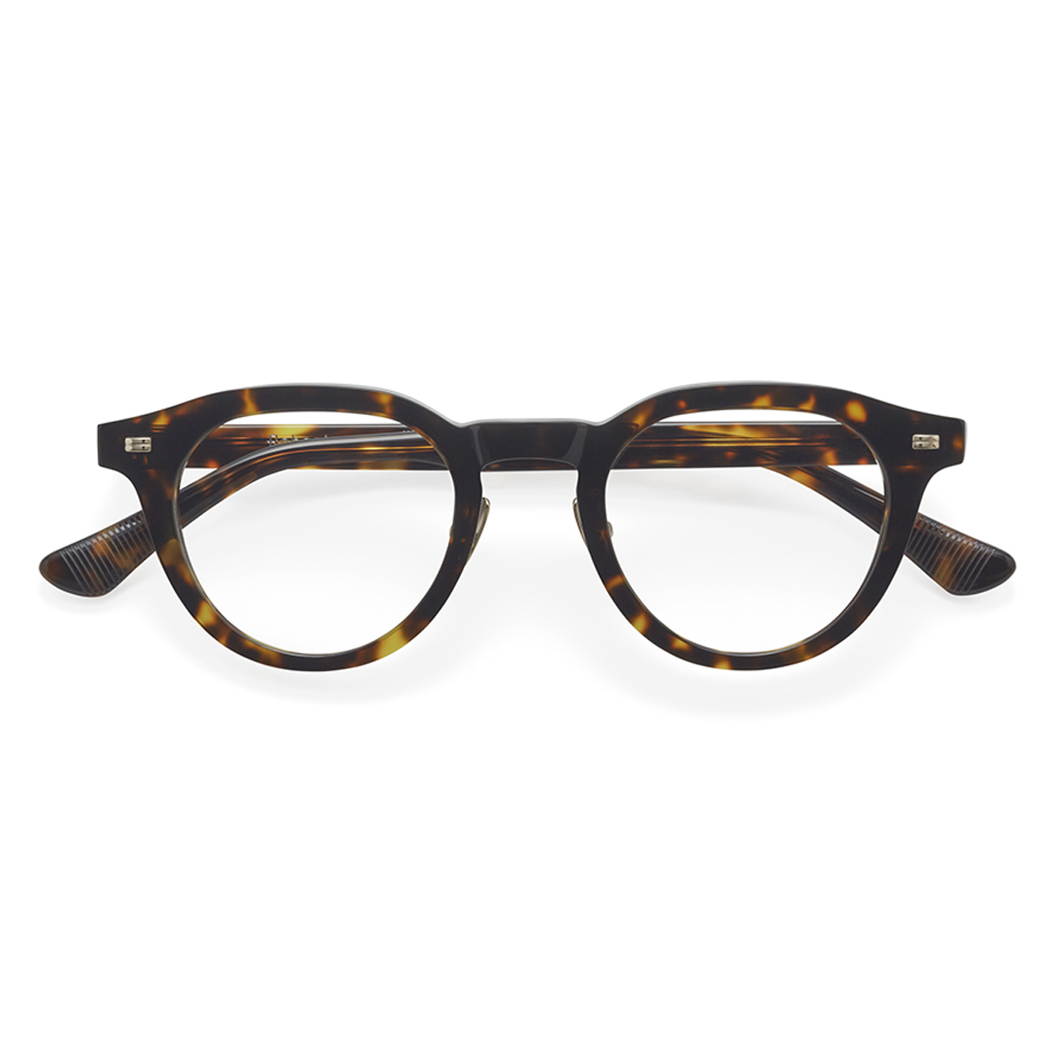 ダークトートイス