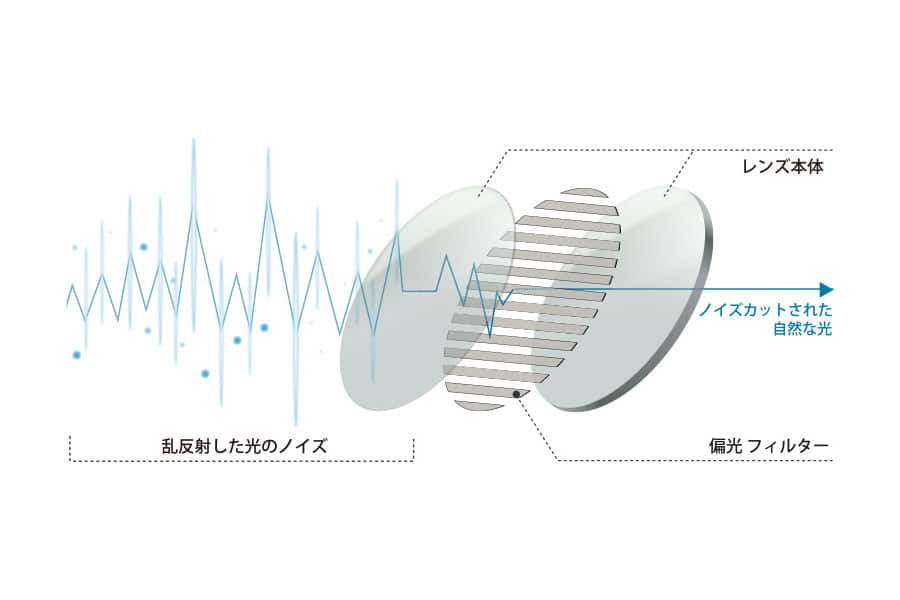 偏光機能レンズ