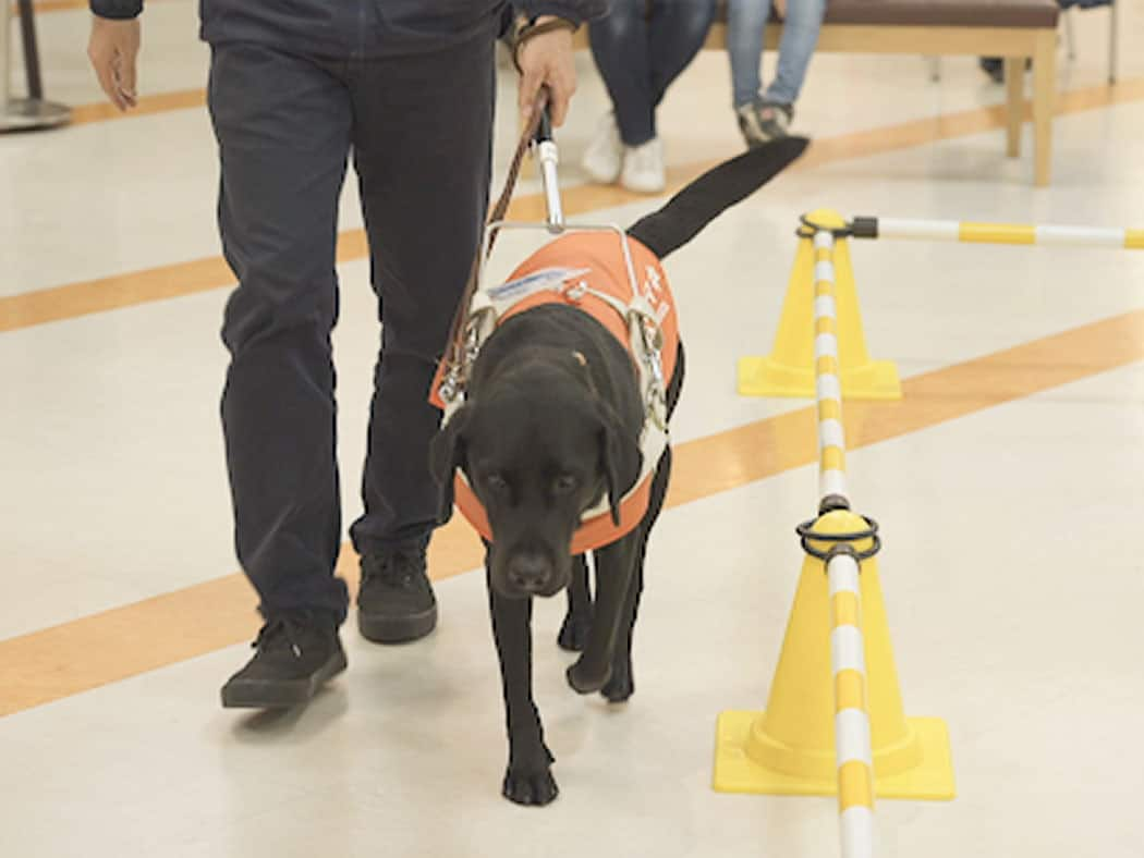 盲導犬デモンストレーションの様子その2