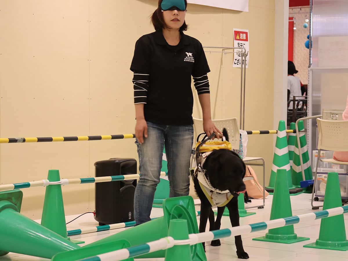 盲導犬デモンストレーションの様子