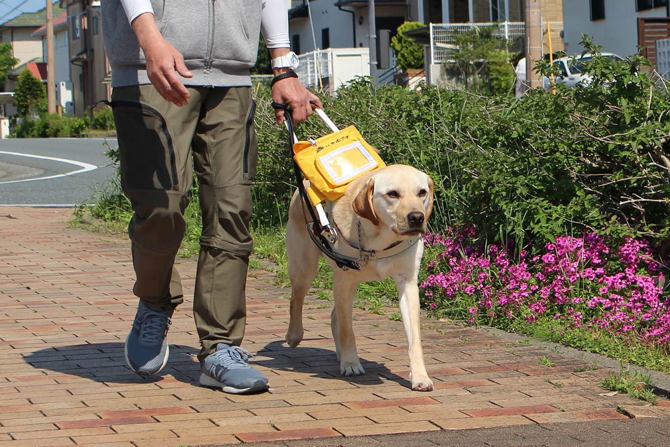 盲導犬や白杖での歩行指導を無償で行っています
