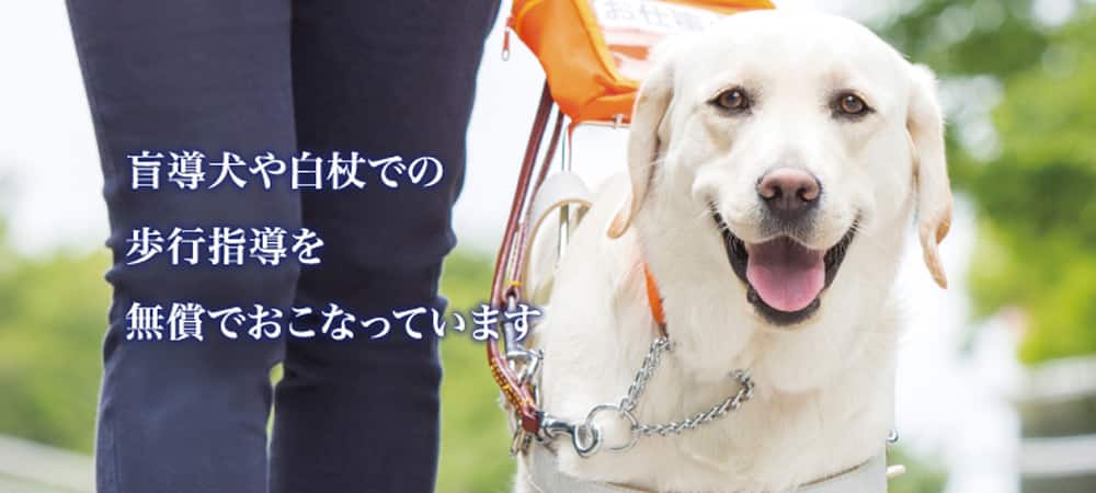 盲導犬や白杖での歩行指導を無償で行っています