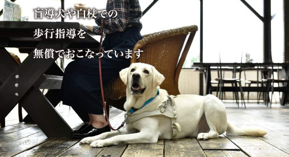 盲導犬や白杖での歩行指導を無償で行っています