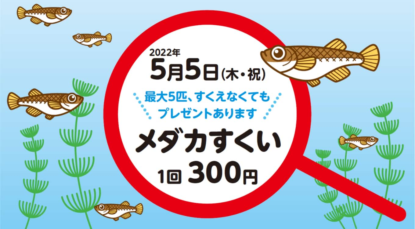 パリミキ 長岡店 イベント メダカ うるめっこ 学園