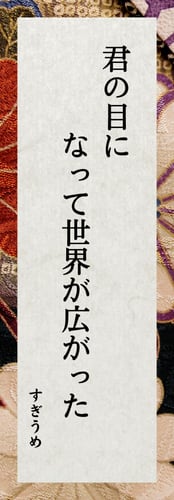 パリミキ 川柳 特別賞 すぎうめ 君の目になって世界が広がった