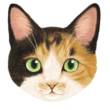 三毛猫