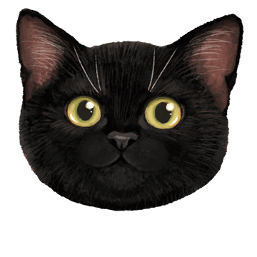 黒猫