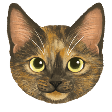 サビ猫