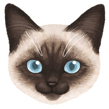 シャム猫