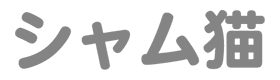 シャム猫