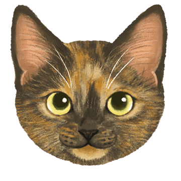 サビ猫