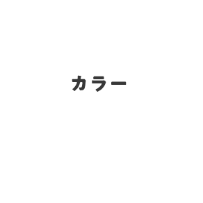 カラー ＋¥3,300〜（税込）