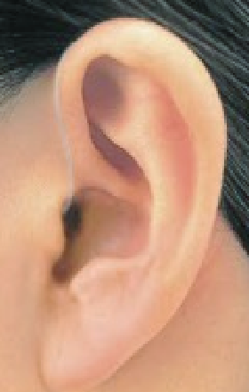 Signia IX 耳かけ型　装着イメージ