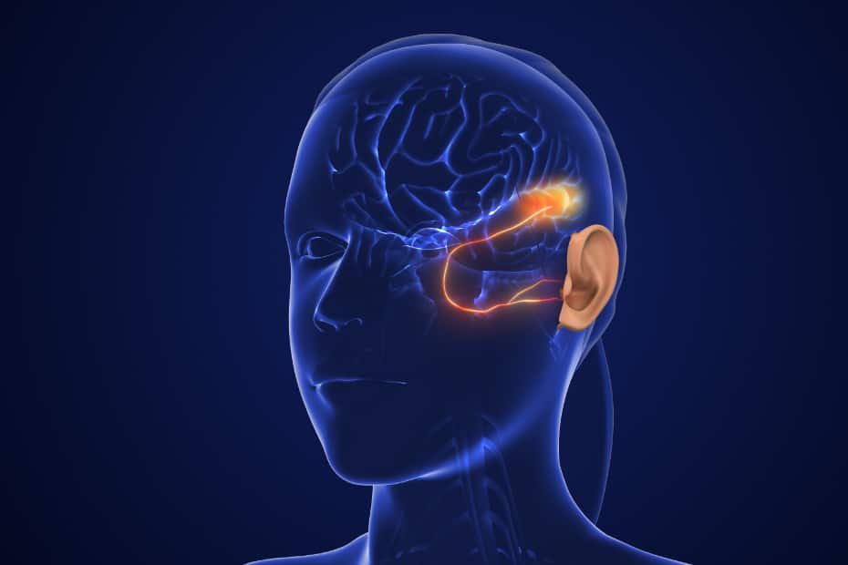 脳から聞こえを考えるイメージ