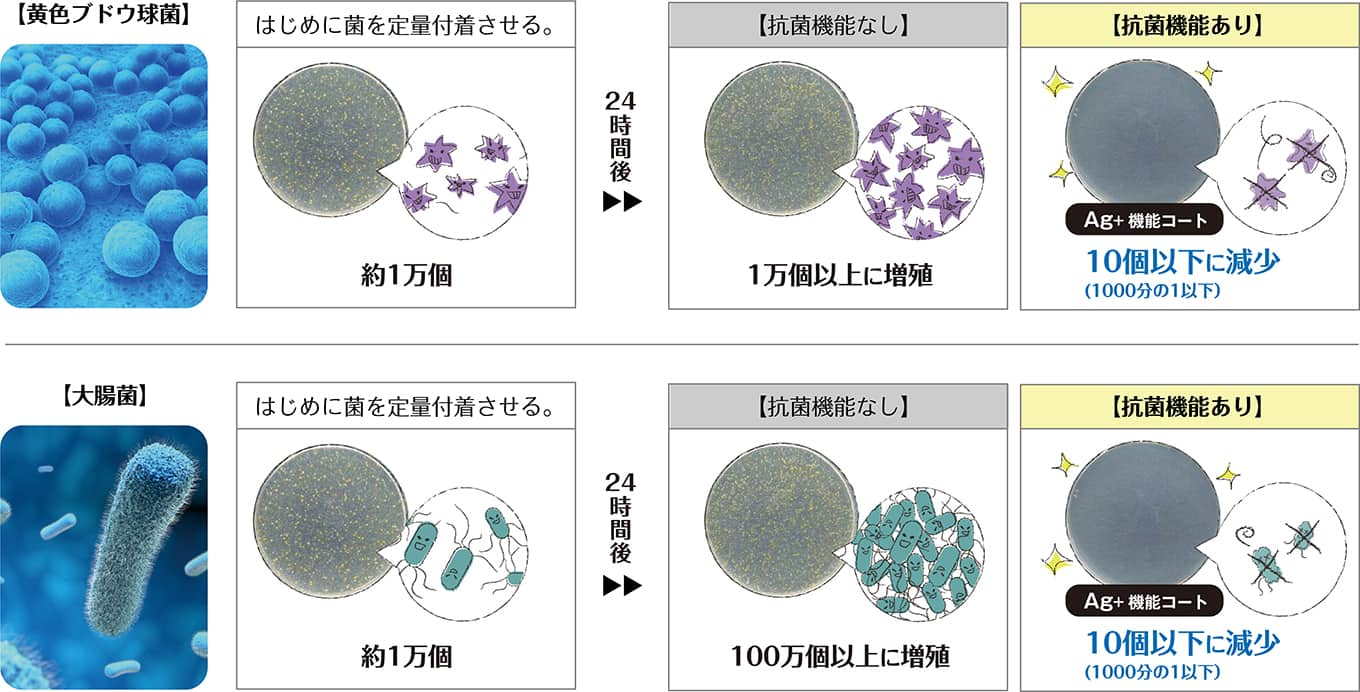 抗菌機能付きコートレンズ パリミキ