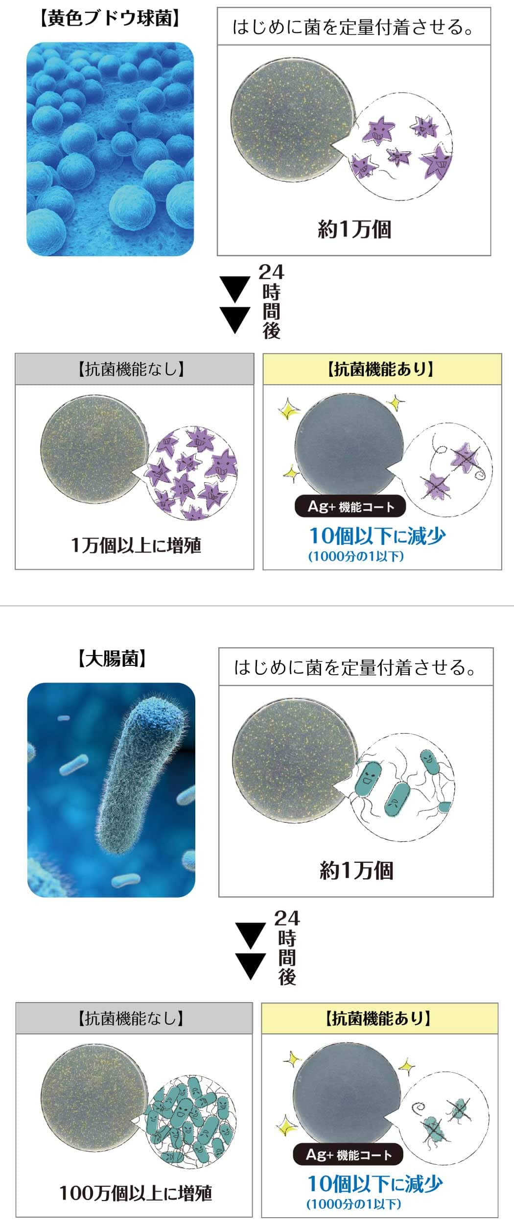 抗菌機能付きコートレンズ パリミキ