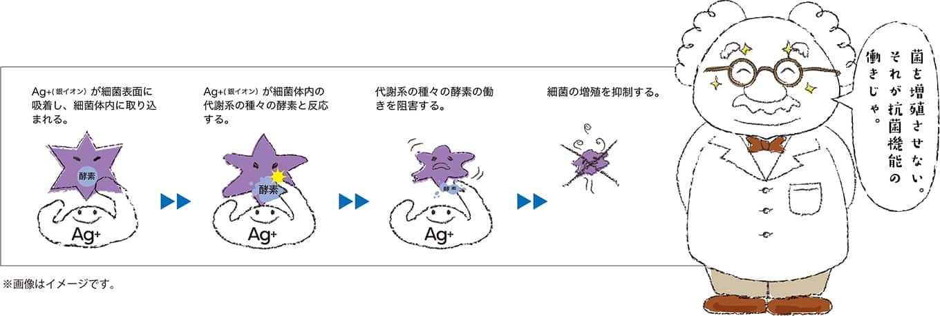 抗菌機能付きコートレンズ パリミキ