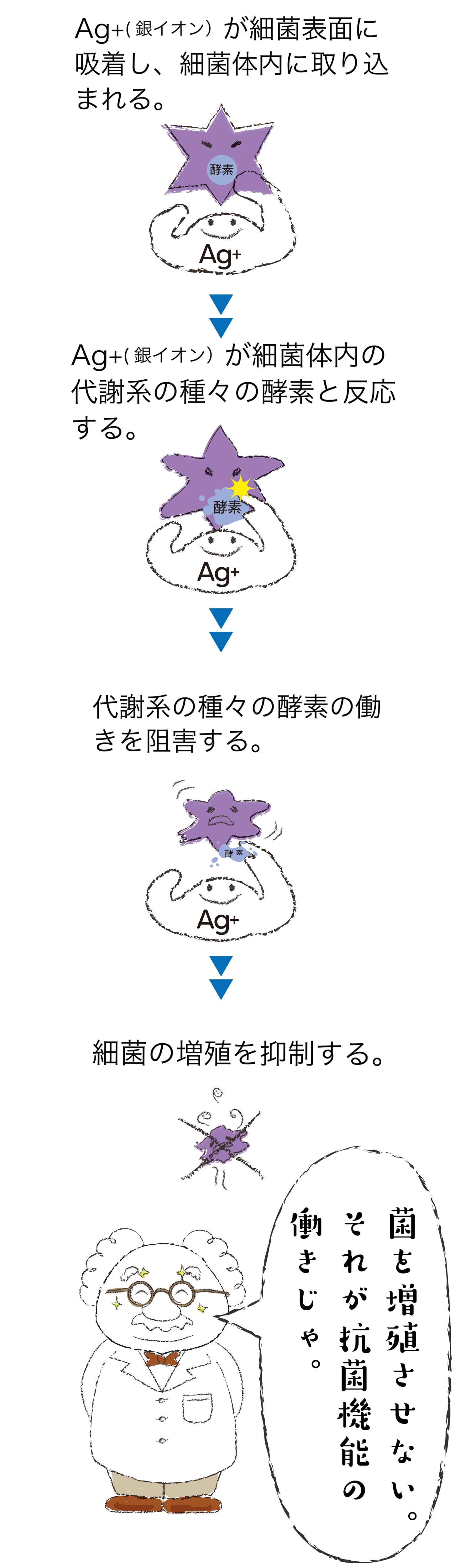 抗菌機能付きコートレンズ パリミキ