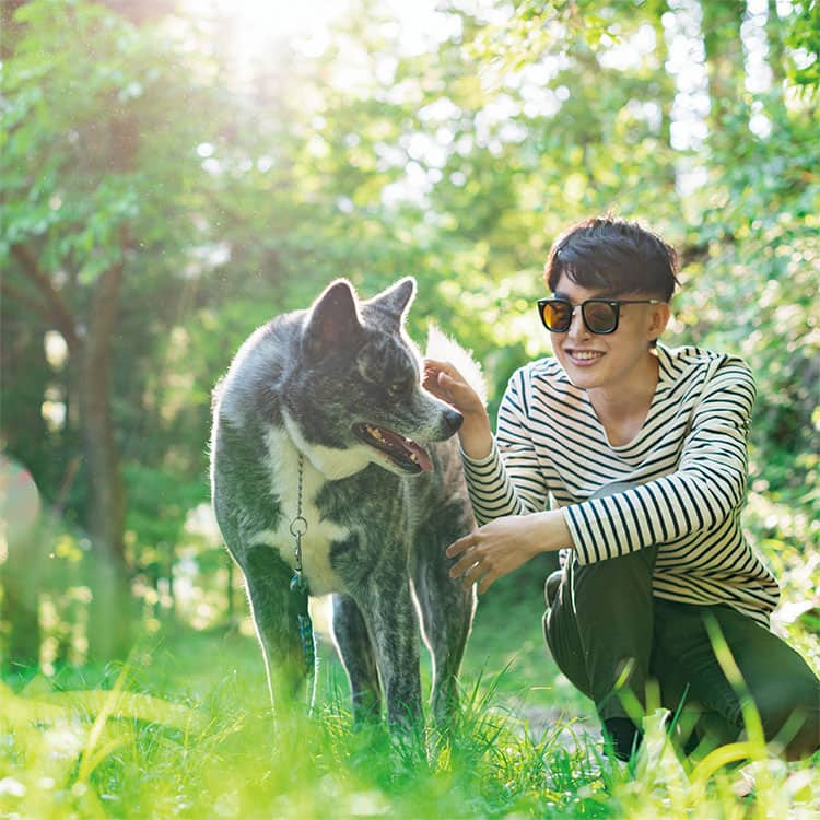 犬の散歩