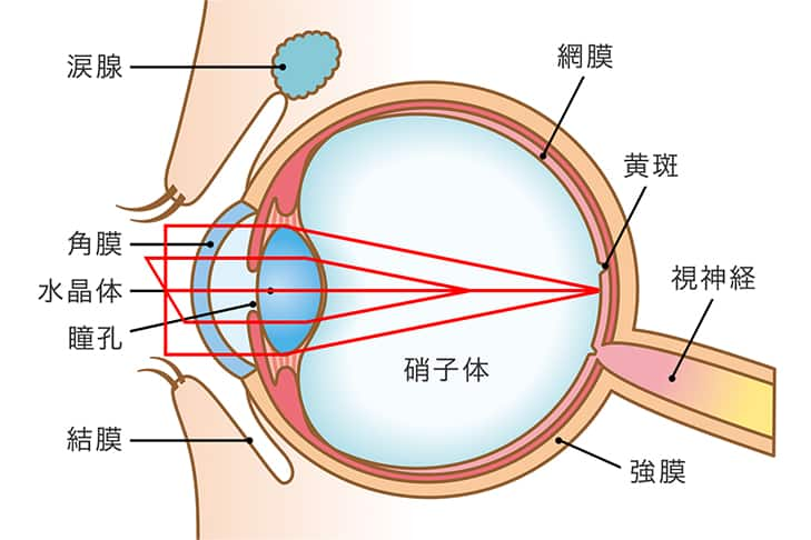 焦点が一点で結ばれていないため、方向によってぼやけて見えます。