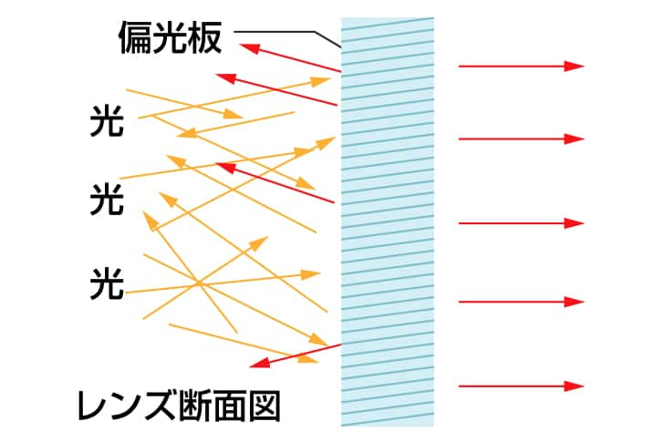 偏光機能レンズを用いた場合